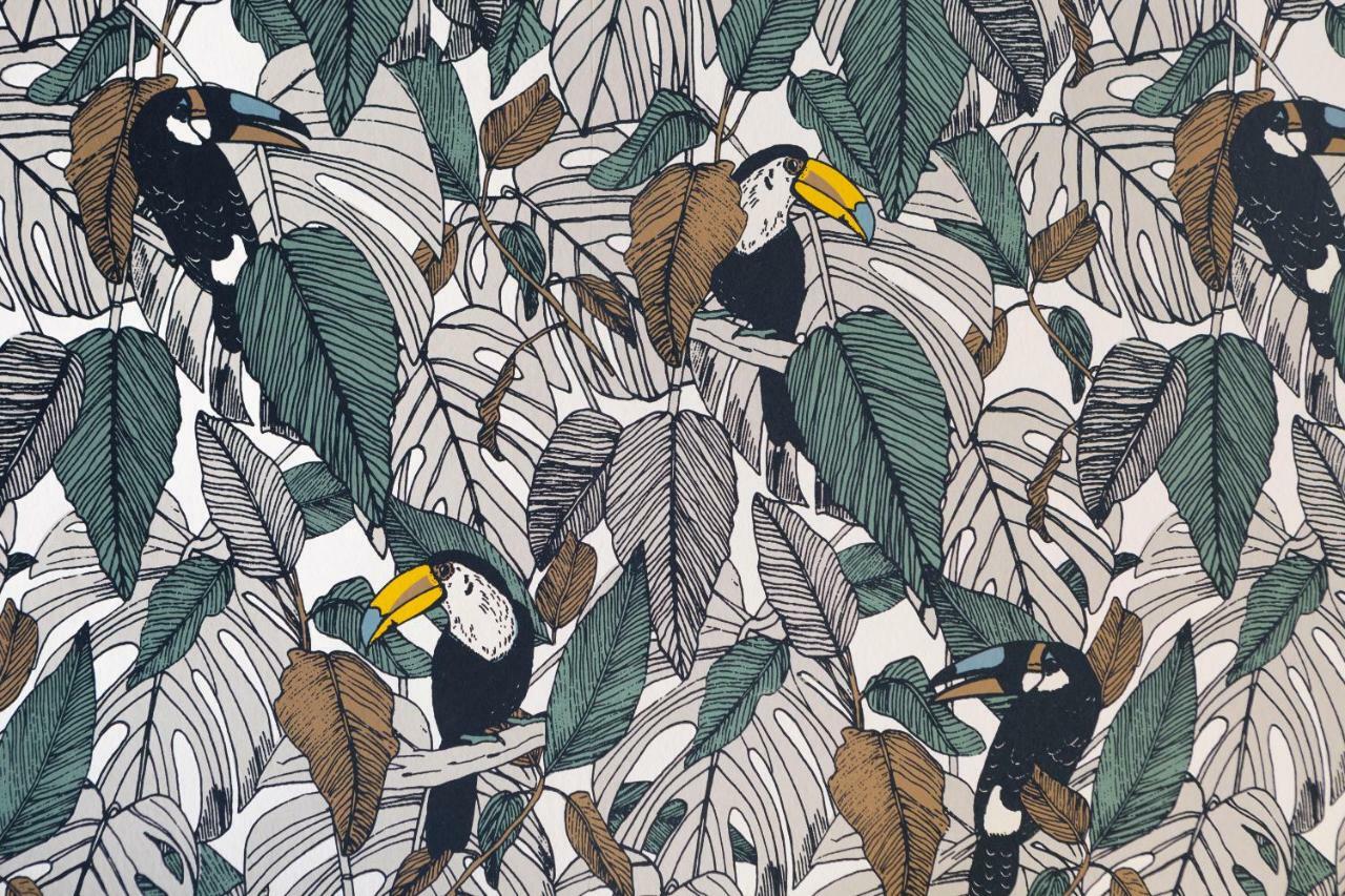 Le Toucan By Cocoonr رينز المظهر الخارجي الصورة